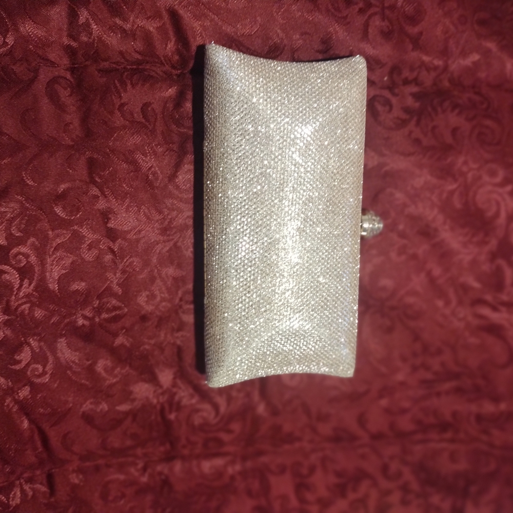 Elegant Silver Clutch Bag
